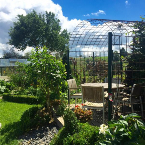  B&B Oase  Бург-Ройланд